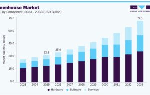 Greenhouse Market Forecast: Investment and Innovation Outlook